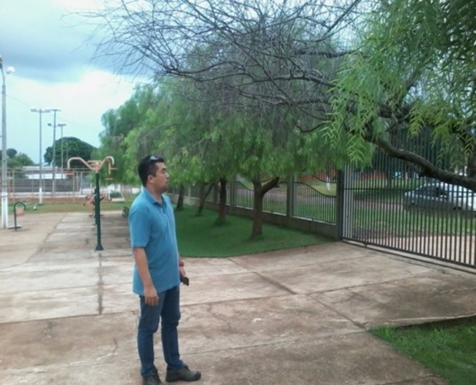 "Precisamos cuidar da nossa cidade e manter nossas árvores protegidas é uma das medidas"