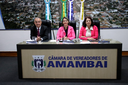 Resumo da Sessão Ordinária, realizada no dia 09 de outubro de 2024, na cidade de Amambai/MS. Resumo da Sessão Ordinária, realizada no dia 09 de outubro de 2024, na cidade de Amambai/MS.