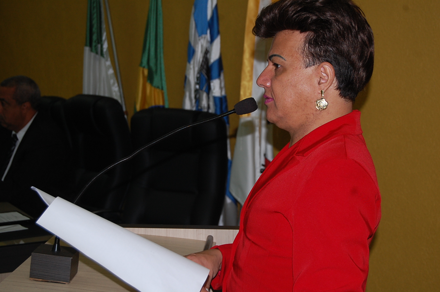 Vereador Ilzo solicita recuperação de estradas em Assentamentos